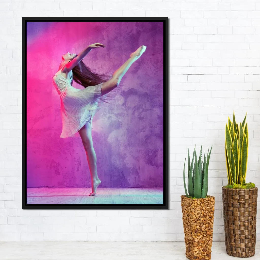 Ballet Dancer