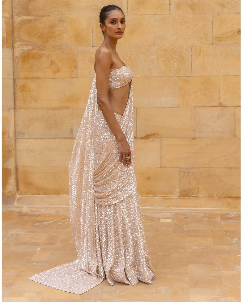 Coconut Embroidered Sequins Sari Set