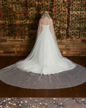Rhinestone and Pearl Veil