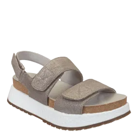 WANDERING in SILVER Platform Sandals